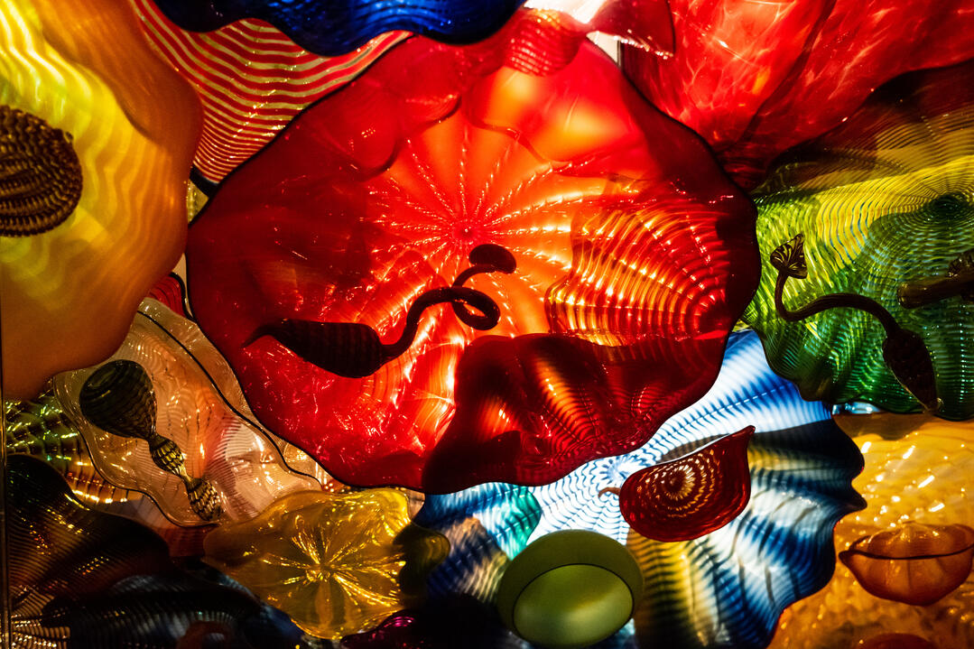 Chihuly Garden and Glass Photo Chihuly Garden and Glass Photo